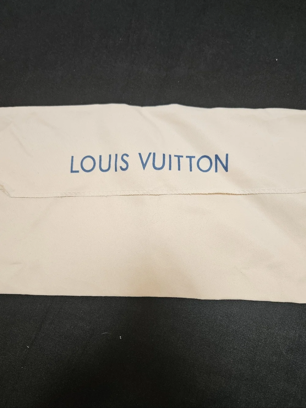 Louis Vuitton Fabric Dust Bag Envelope 11 3/4